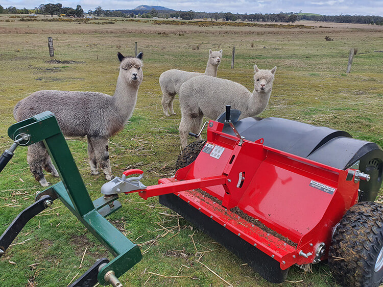 Curious Alpacas inspecting a Tow and Collect